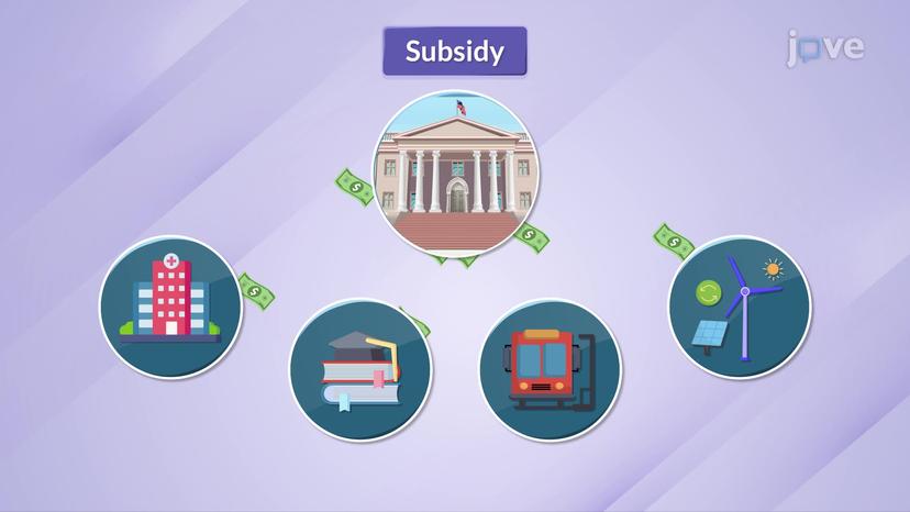 Subsidy