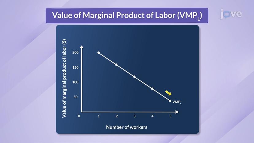 The Value of the Marginal Product of Labor and the Demand for Labor