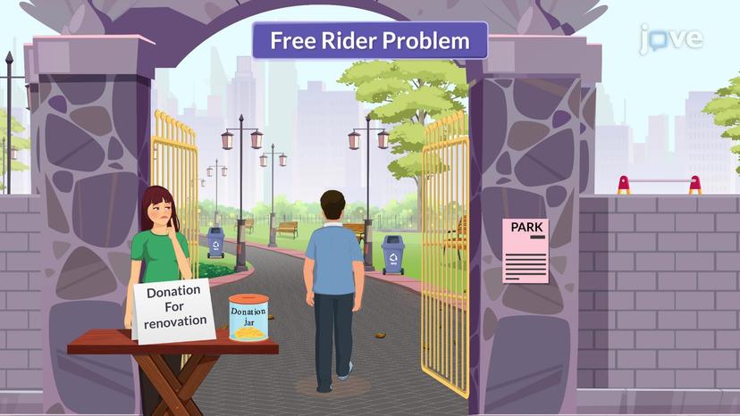 Free Rider Problem