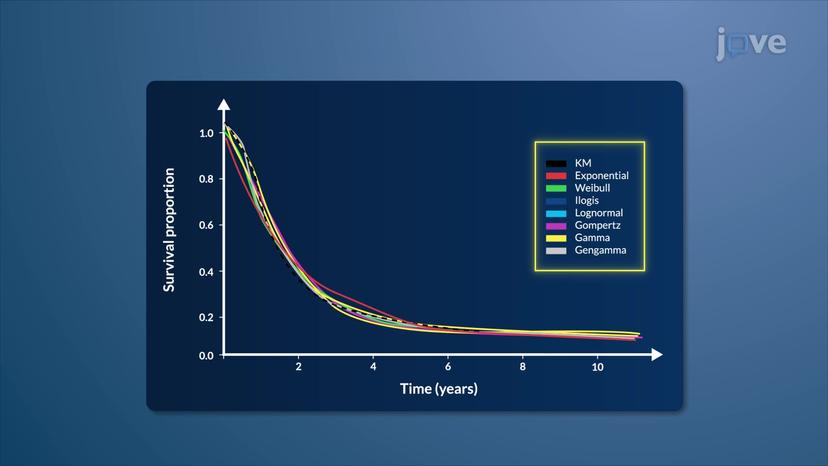 Survival Curves