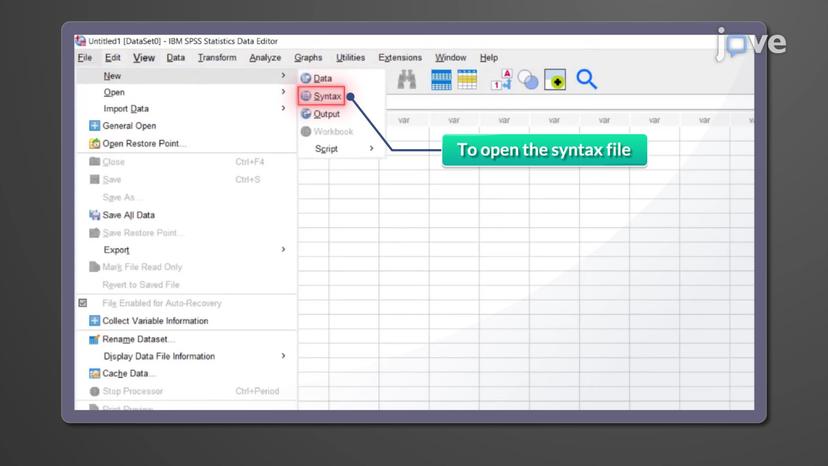 Statistical Package for the Social Sciences (SPSS)