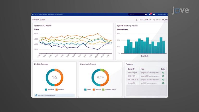 Statistical Analysis System (SAS)