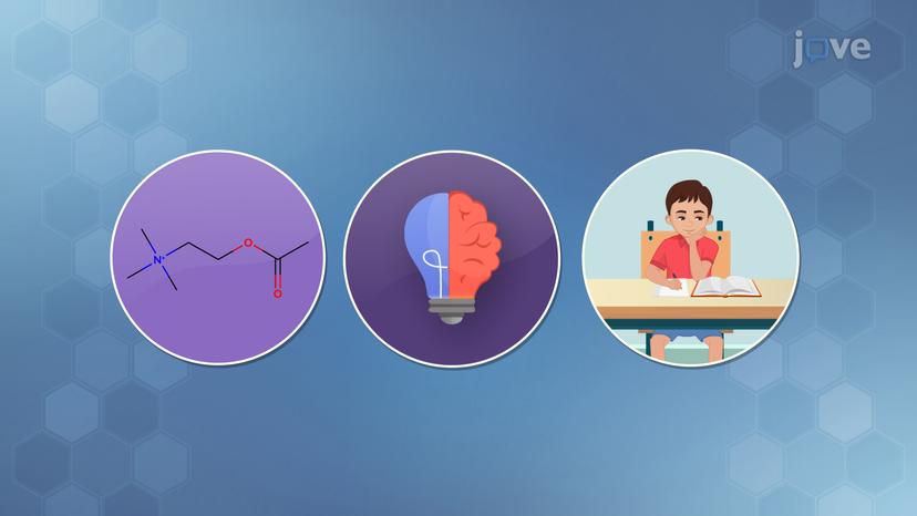 Neurotransmitters