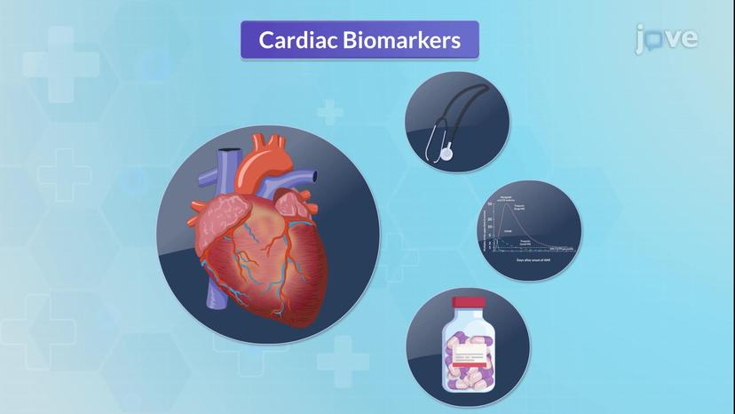 Blood Studies for Cardiovascular System II: CRP, Hcy, and Cardiac Natriuretic Peptide Markers