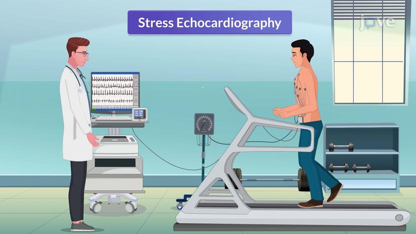 Imaging Studies for Cardiovascular System II:Types of Echocardiography