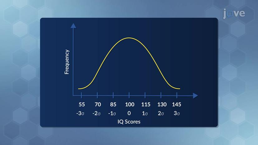 The Bell Curve