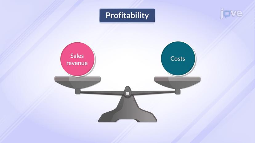 Margins and Profits Margins I