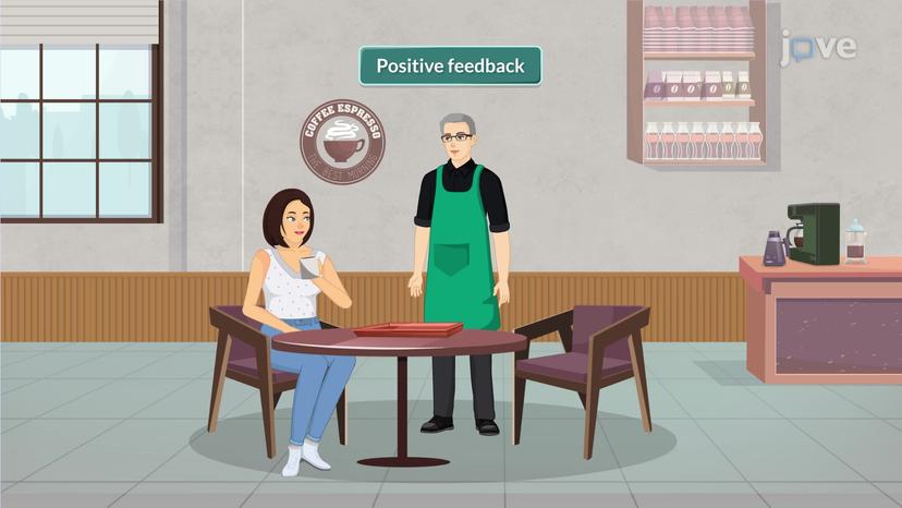 Customer Feedback in Services Marketing