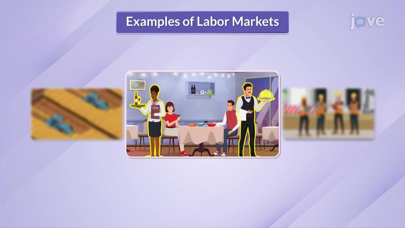 The Market Demand for Labor