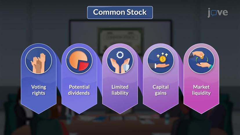 Common Stock Features