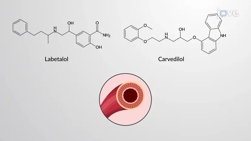 JoVE Science Education > Drugs Acting on Autonomic Nervous System:  Adrenergic Agonists and Antagonists Agents