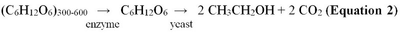 Equation 2