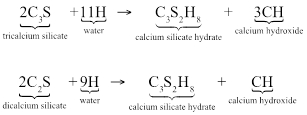 Equation 1