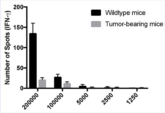 Figure 2B