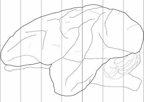 figure-protocol-7344