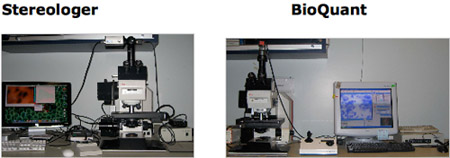 figure-protocol-12529 figure-protocol-12529