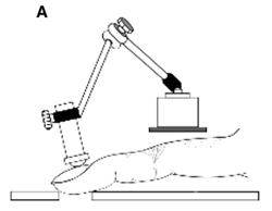 figure-protocol-8749