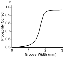 figure-protocol-21368