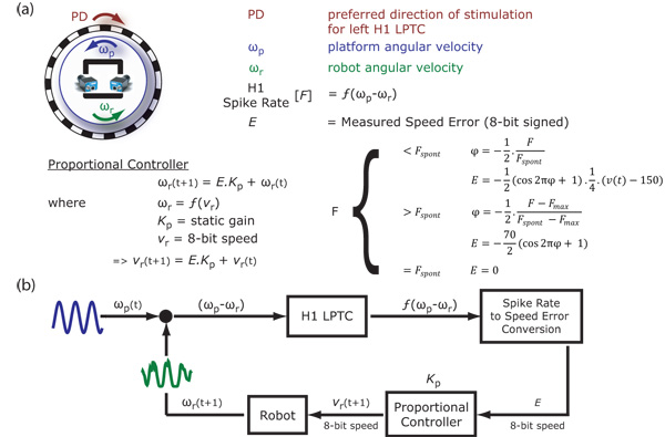 figure-protocol-8659
