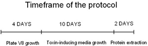 figure-protocol-2623