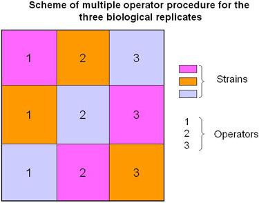figure-protocol-2766