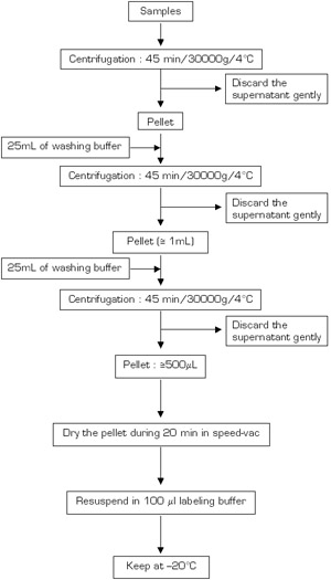 figure-protocol-3053