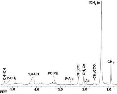 figure-protocol-7581