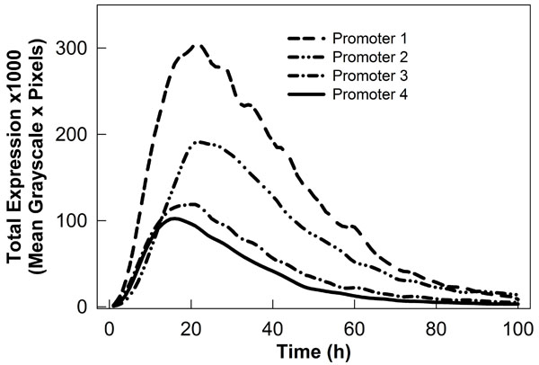 figure-protocol-15887 figure-protocol-15887