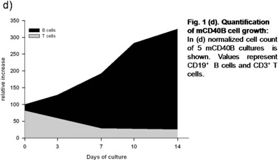 figure-protocol-4497