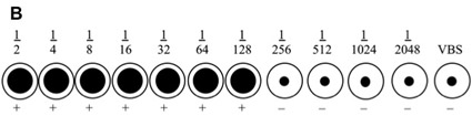 figure-protocol-4870