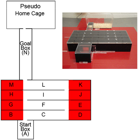 figure-protocol-9372