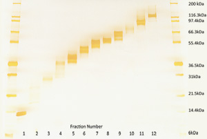 figure-protocol-3330