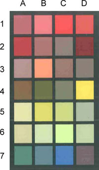 figure-protocol-31880 figure-protocol-31880