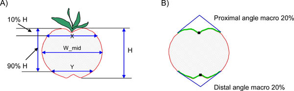 figure-protocol-33941 figure-protocol-33941