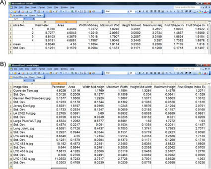 figure-protocol-34908 figure-protocol-34908