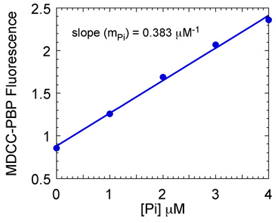figure-protocol-17800