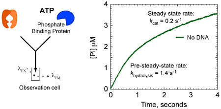 figure-protocol-18210