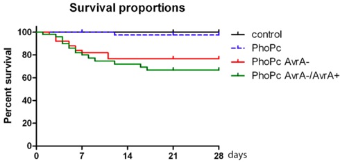 figure-protocol-2274