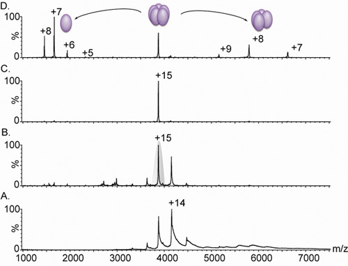 figure-protocol-15683