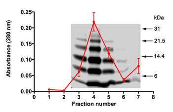 figure-protocol-10466