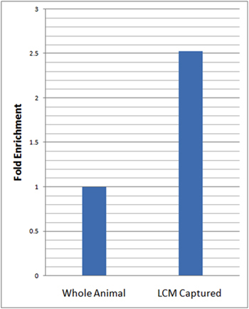 figure-protocol-16196