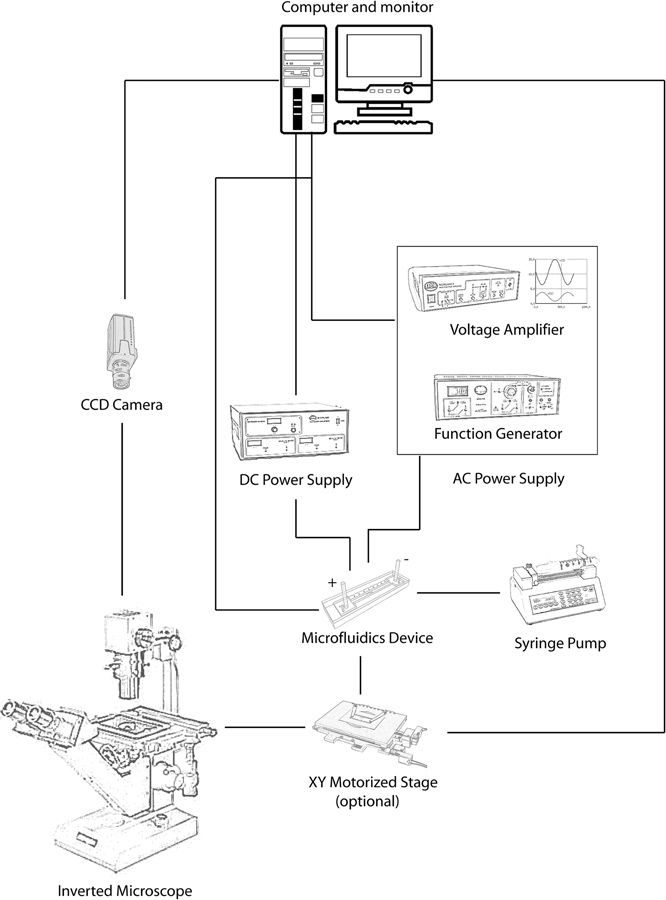 figure-results-58
