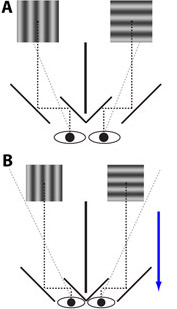 figure-protocol-12417