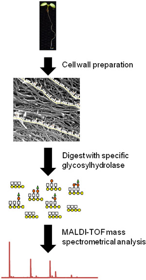 figure-protocol-7657