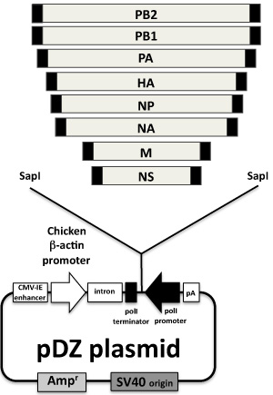 figure-protocol-11818