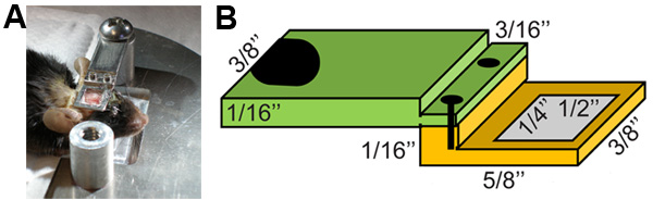 figure-protocol-9613