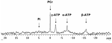 figure-protocol-10763