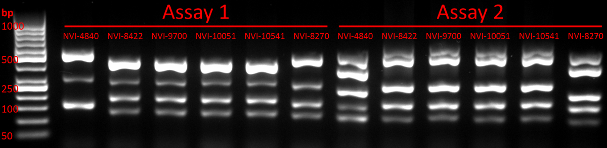 figure-results-25