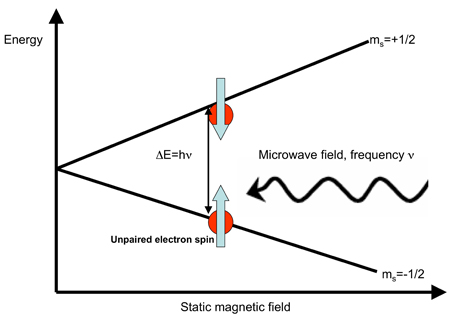 figure-protocol-9086