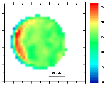 figure-protocol-10793